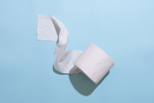 What is it called when you put toilet paper on someone's house?
