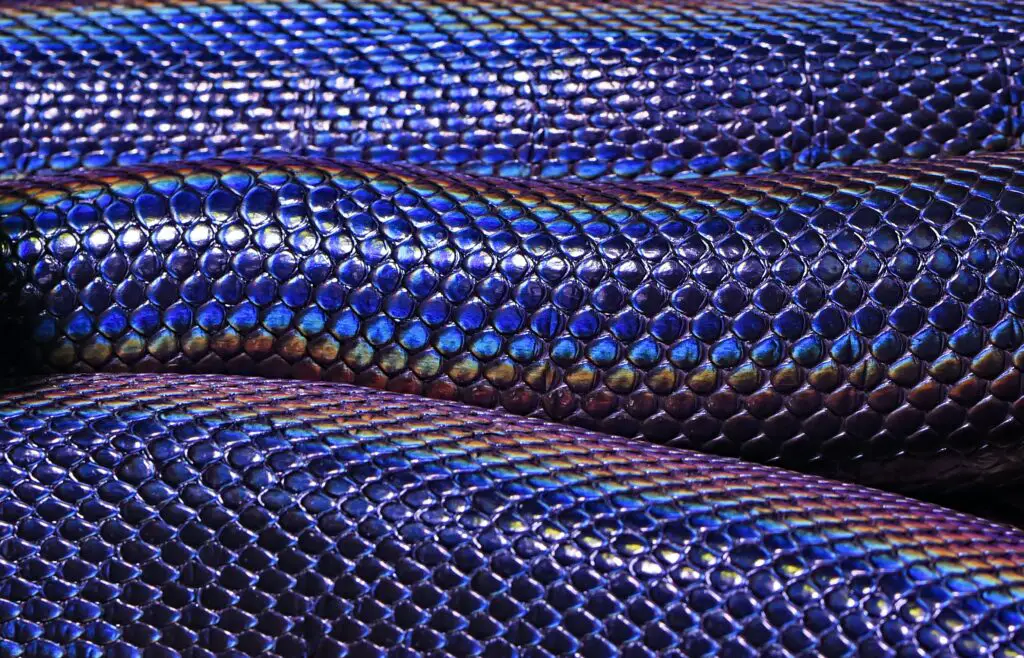 Is a rainbow python real