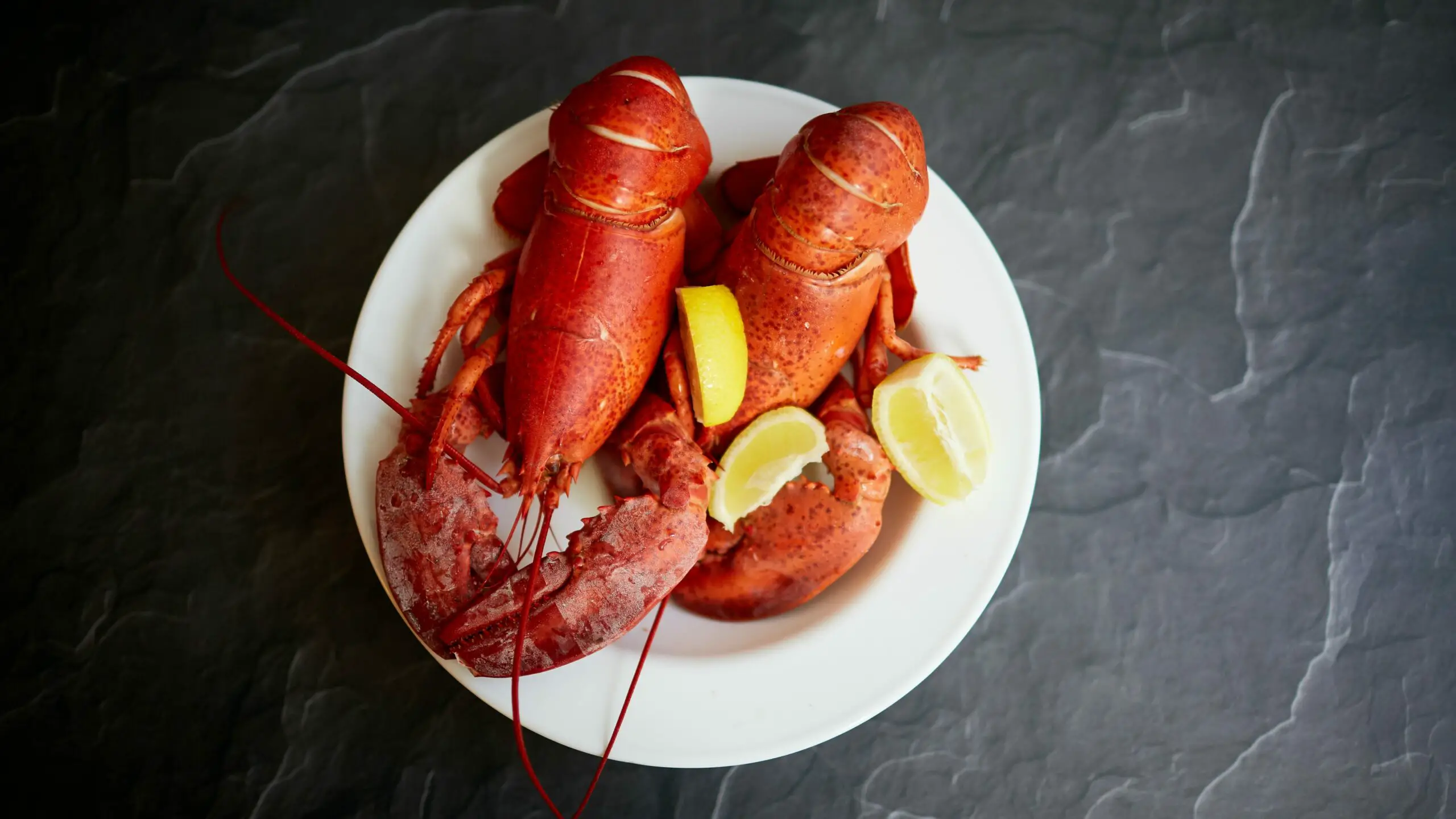 Do Lobsters Scream When You Boil Them?
