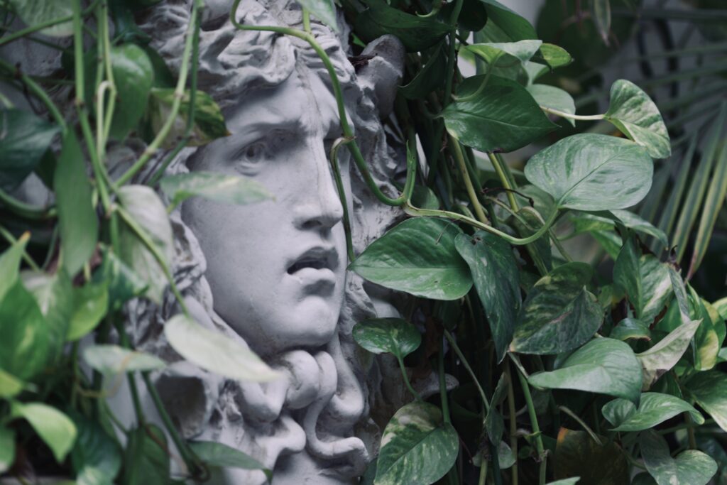 What did medusa originally look like?