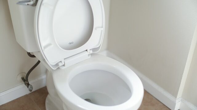 Can vomit clog a toilet?