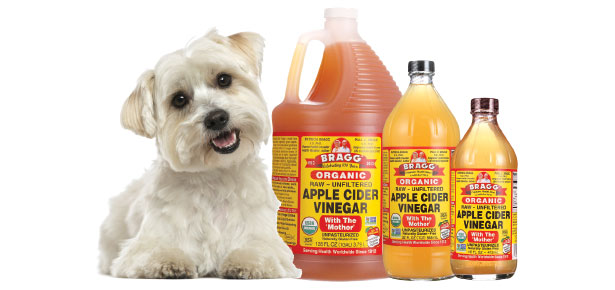 Can white vinegar help dog itchy skin? 