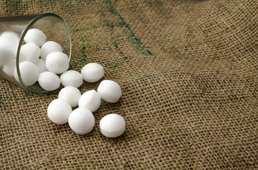 How long does a mothball smell last? Gek Buzz