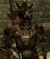 Why cant you marry a khajiit in skyrim?