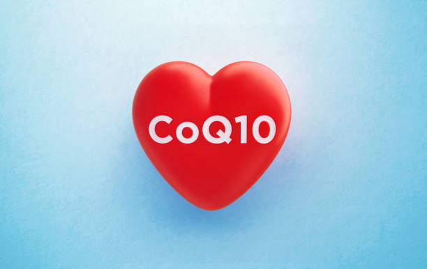 When should i take coq10 morning or night