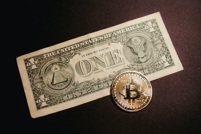 What animal is hidden in the american one dollar bill?