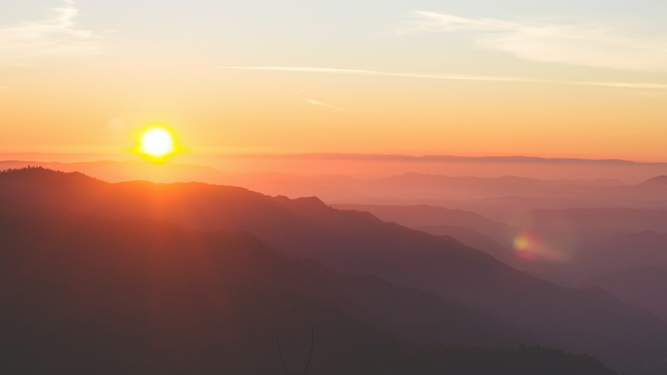Why do most people poop in the morning