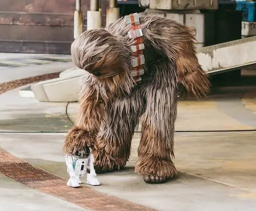 What is chewbaccas age?