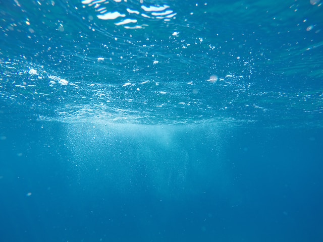 What cities will be underwater by 2050?