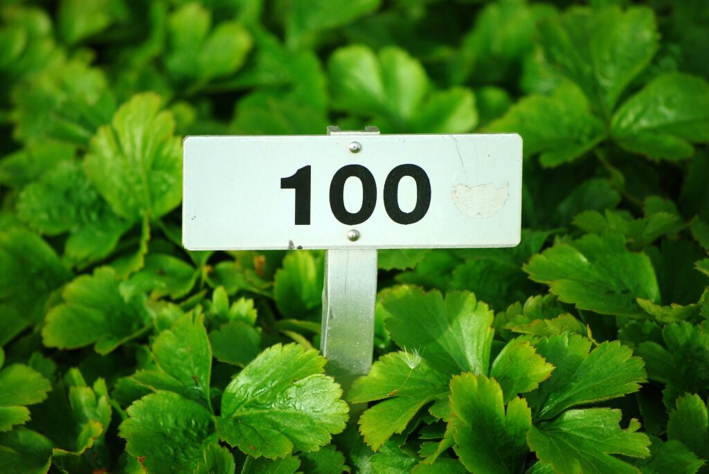 How do you spell 100 in words?