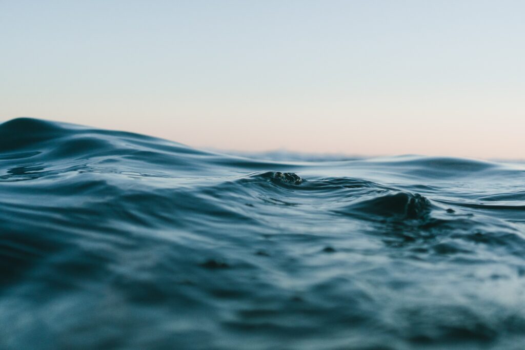What is the largest ocean in the world
