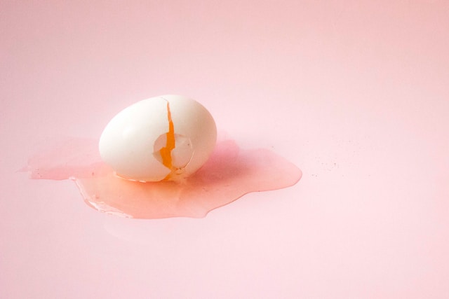 What is a lash egg