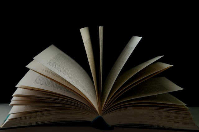 Is Shatter Me a spicy book?