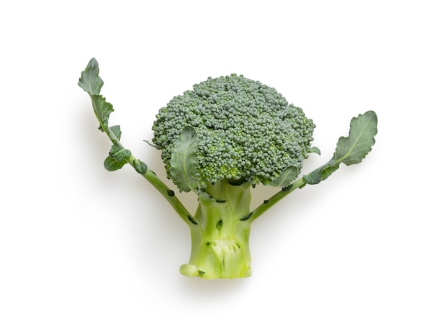 Is broccoli high in protein?