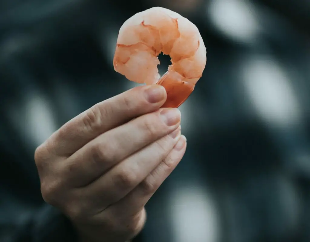 Is shrimp high in mercury? Gek Buzz