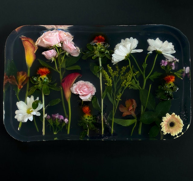 Can you preserve a rose in resin