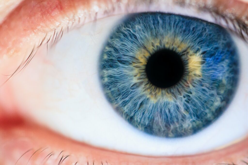 What percent of white people have blue eyes