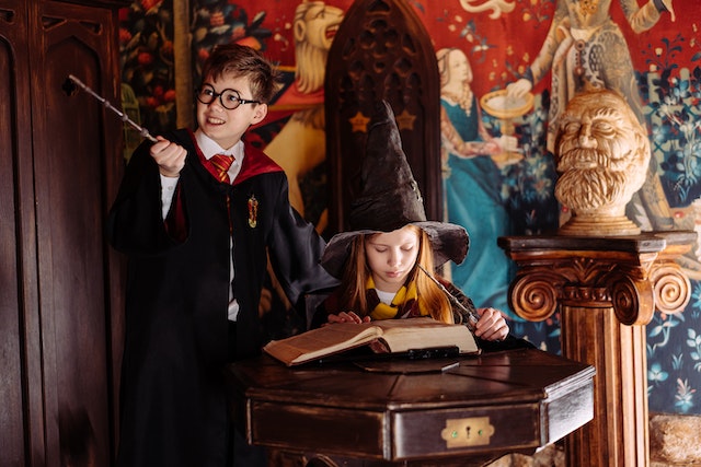 What are the 7 items in harry potter?
