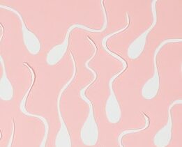What color is dried sperm