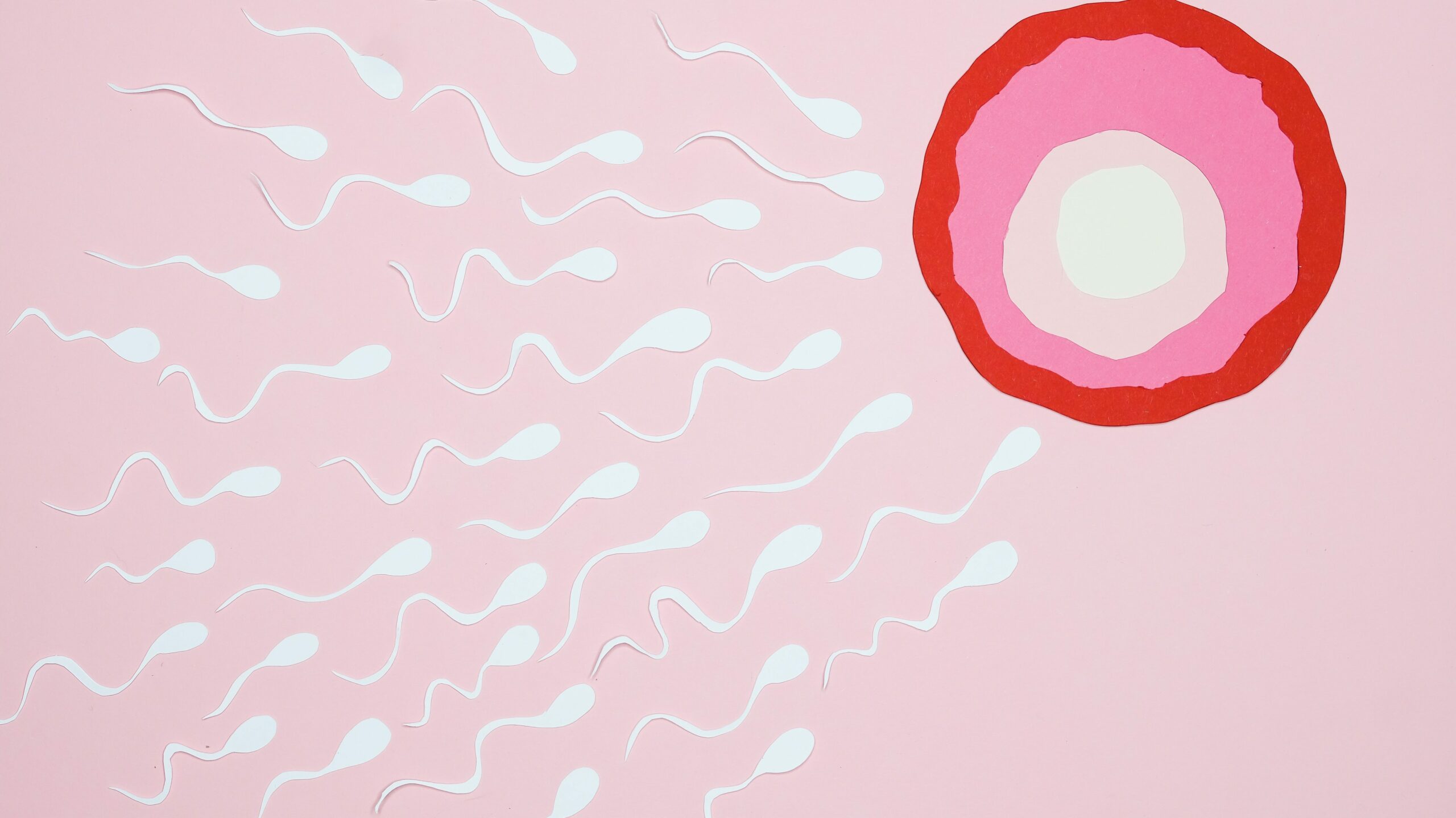 What speed does sperm come out? Gek Buzz