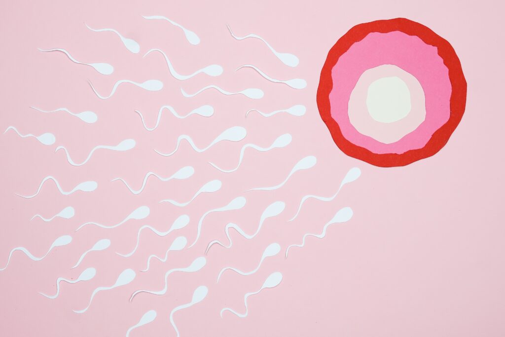 How can i produce more sperm in 24 hours?
