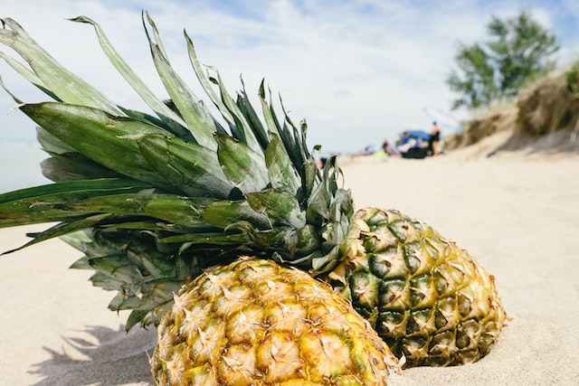 Why do pineapples not belong on pizza