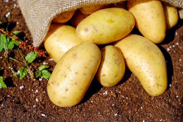 Does sweet potato cause gas
