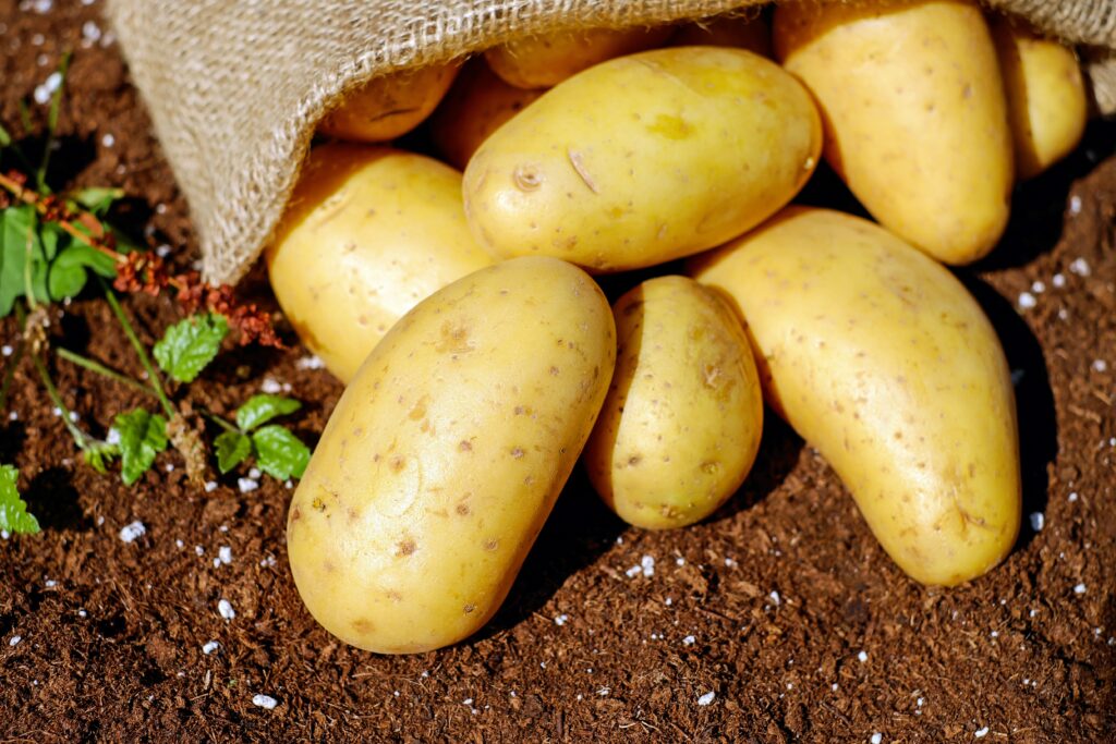 How long can cooked Potatoes sit out?