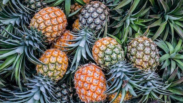 Is my pineapple moldy?