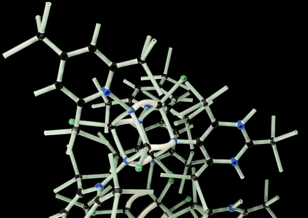 Are lipids hydrophobic