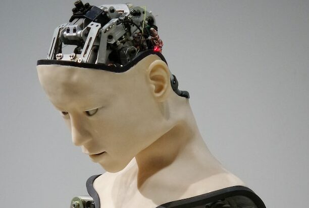 Is Sophia the robot still alive?