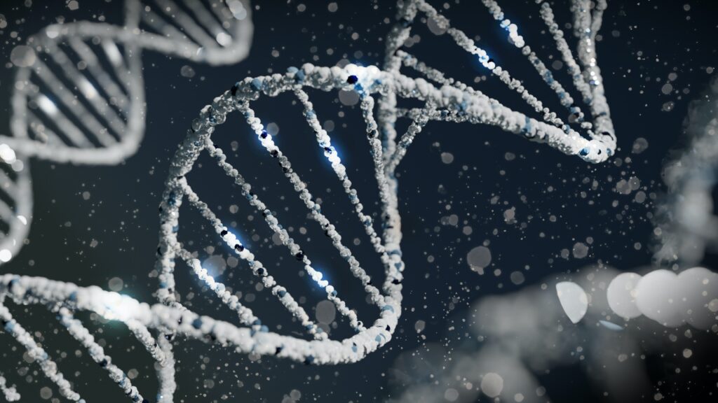 How close is pig dna to humans