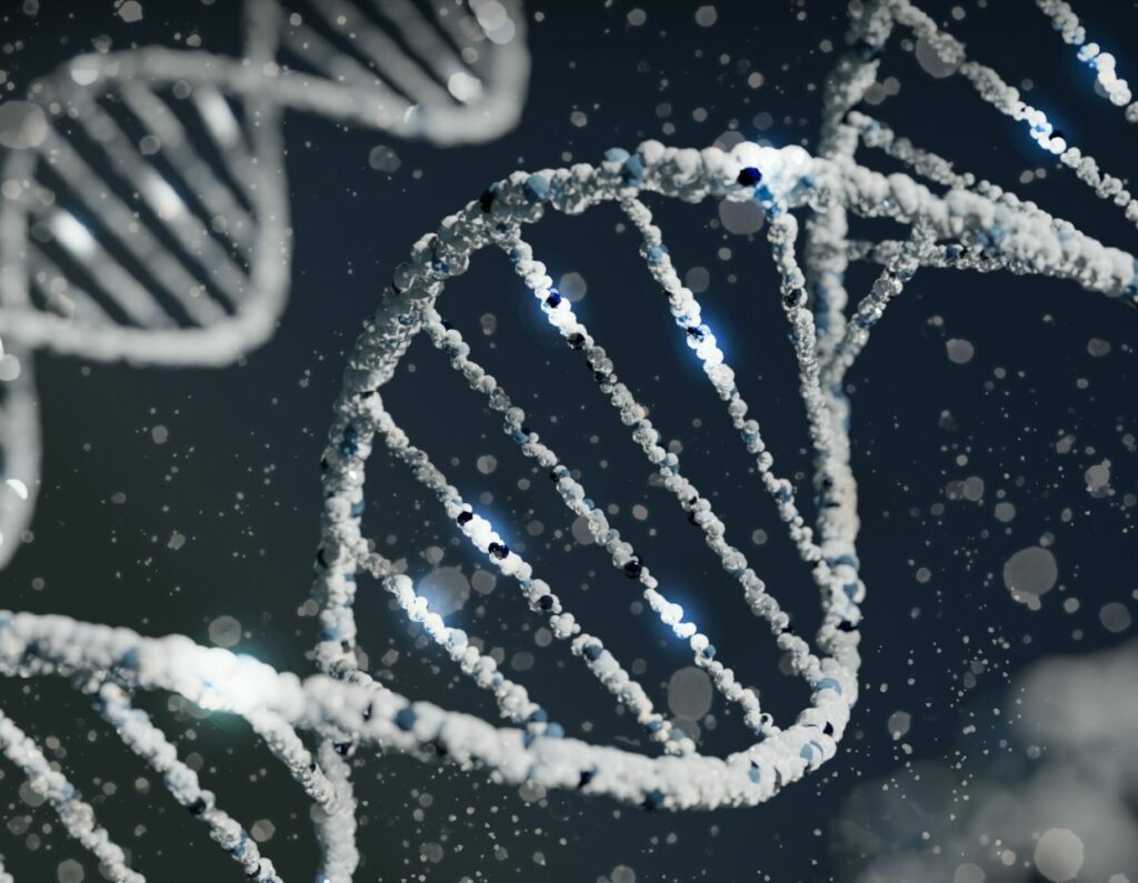 What genes are inherited from father only