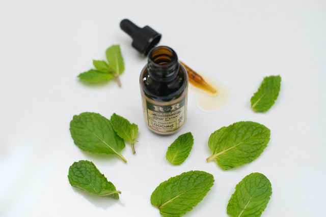 How often do you need to spray peppermint oil to keep wasps away?