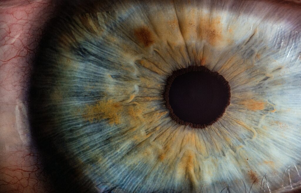 What color eyes has billie eilish